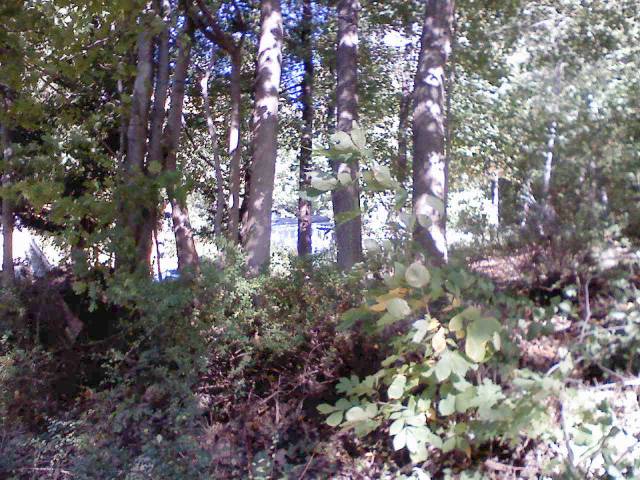 Building photograph for 827 CANDLEWOOD LK S